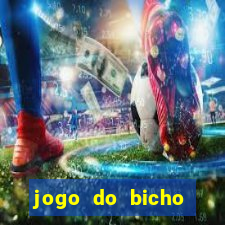 jogo do bicho tipos de apostas